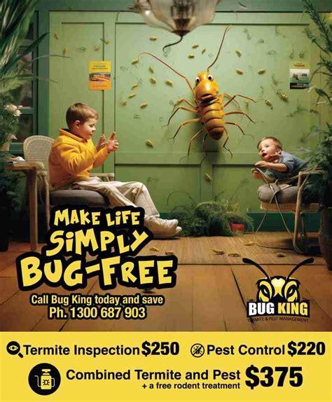 Pest Control Sunshine Coast And Termite Control Services The Bug King