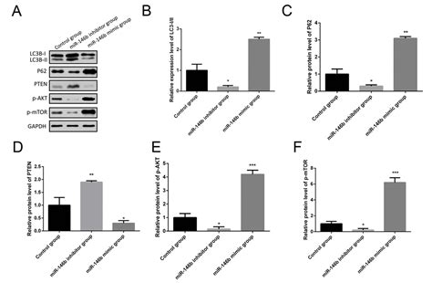 Mir B Inhibits Autophagy In Prostate Cancer By Targeting The Pten