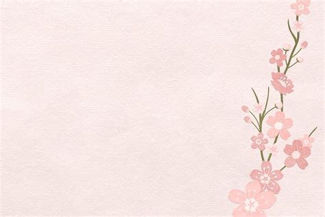 Spring Background With Pink Sakura Free Photo Rawpixel Cherry