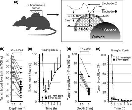 Tumor Blood Flow TBF Response In Intratu Moral And Peritumoral