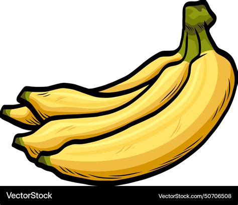 Banana bunch of bananas drawing Royalty Free Vector Image