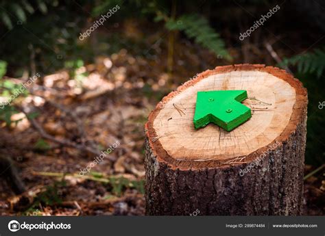 Close Up Green Wooden Arrow Pointing The Direction Of The Footpath Or