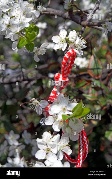 Martenitsa Among The Blossoms In Sofia The Capital Of Bulgaria Stock