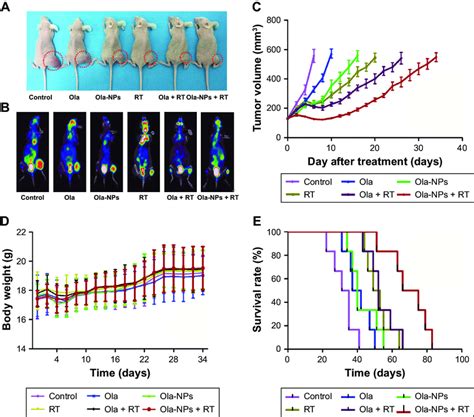 Evaluation Of Antitumor Efficiency In Vivo Notes A General View Of Download Scientific