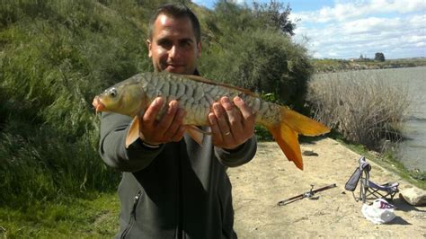 Pesca Alex Pesca En Castrejon Embalse Y Canal Buen Dia De Pesca Pero