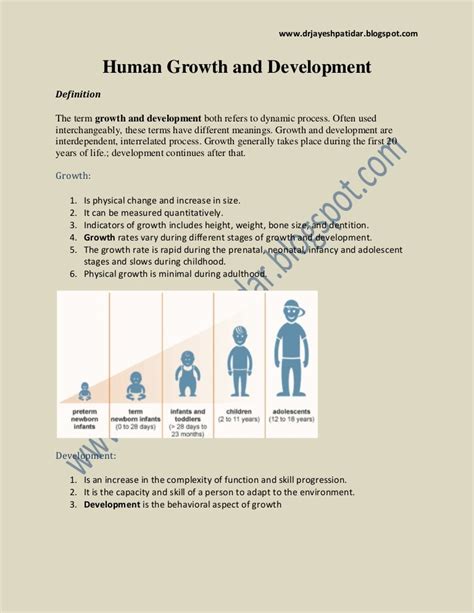 5 Stages Of Human Growth And Development