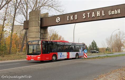 Bunte Buswelt Eisenhüttenstadt Busverkehr Oder Spree Flickr