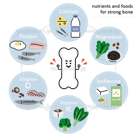 骨を強くする栄養素・食べ物（英語ver）のイラスト素材 168716604 イメージマート