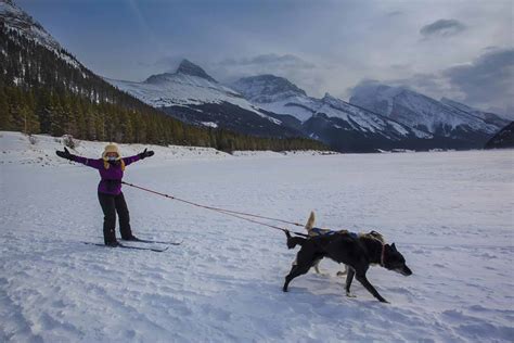 31 Awesome Activites to Enjoy in Winter in Alberta - The Planet D