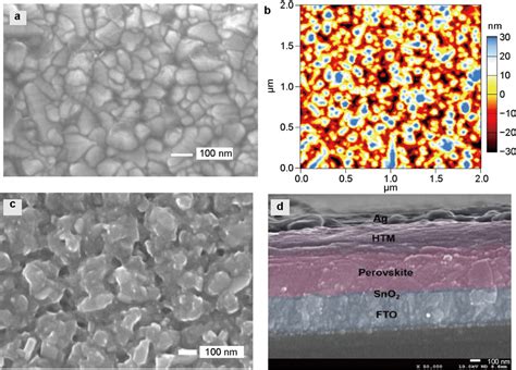 Sem Image A And Afm Height Image B Of Sno2 Film C Sem Image Of