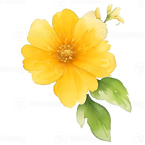 Yellow Flower Watercolor 27201380 Png