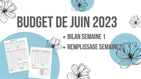 Budget De Juin Bilan Semaine Et Remplissage Semaine Youtube