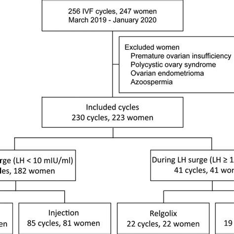 Flowchart Of Ivf Cycles For The Analysis Of Embryo Culture Findings And Download Scientific