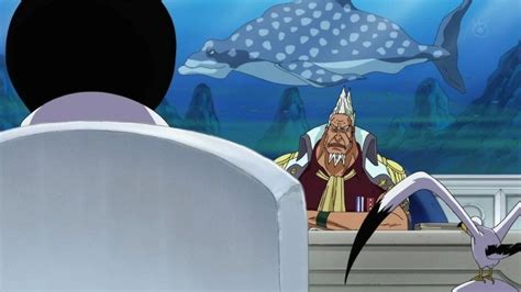 5 Fakta Kong One Piece Yang Diketahui