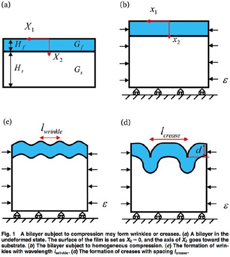 Wrinkling And Creasing Of A Film On A Substrate