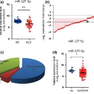 MicroRNA MiR 127 5p Is Frequently Downregulated In Hepatocellular