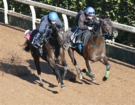 【土曜の注目新馬】g1馬アドマイヤリードの半弟ディンディンドン、余裕の先着川田騎手の手綱で初陣vへ Umatoku 馬トク