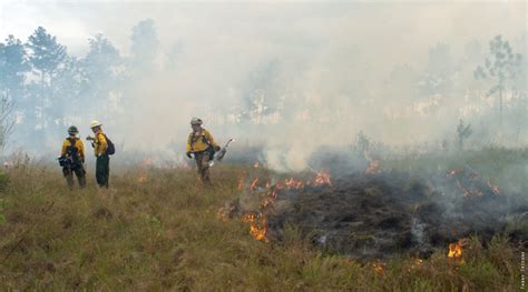 Florida Forest Service Highlights National Fire Prevention Week