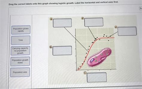 Solved Drag The Correct Labels Onto This Graph Showing