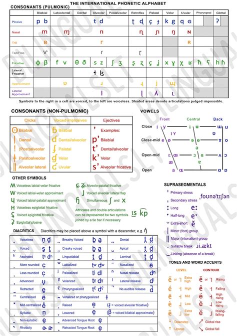 Digital Downdload Full Colourful IPA Chart IPA Chart International