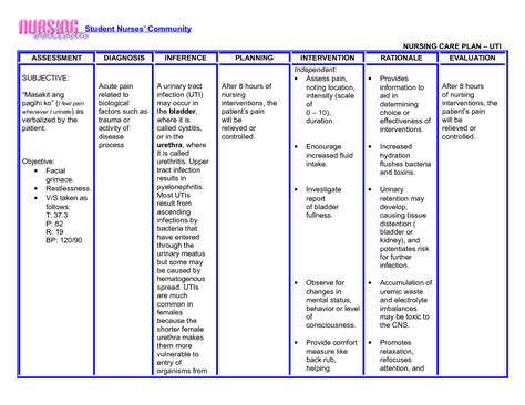 Care Plans In Nursing Pictures Wallpapers Nursing Care Plan Care