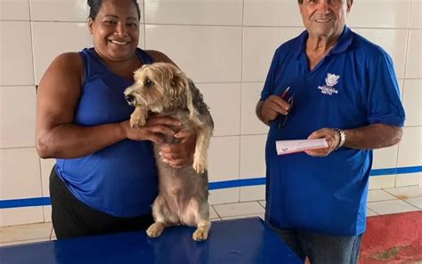 Prefeitura de Medeiros Neto realiza consulta de animais de estimação de