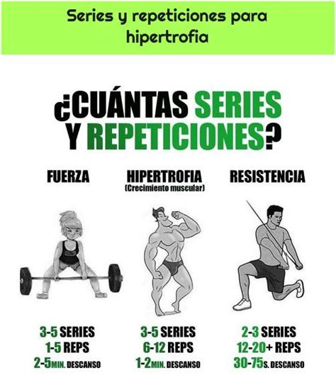 Rutina De Hipertrofia Muscular Ejemplo Para Gimnasio Gym Nbkomputer