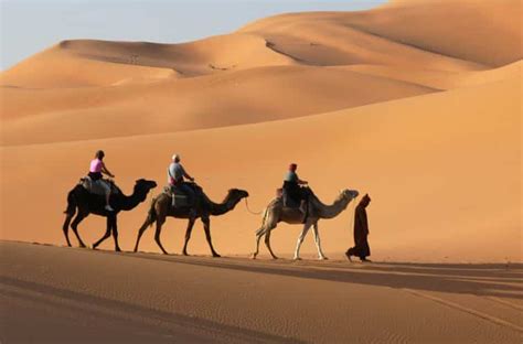 Visiter Le Désert Du Sahara à Dos De Méhari Réservation And Tarifs