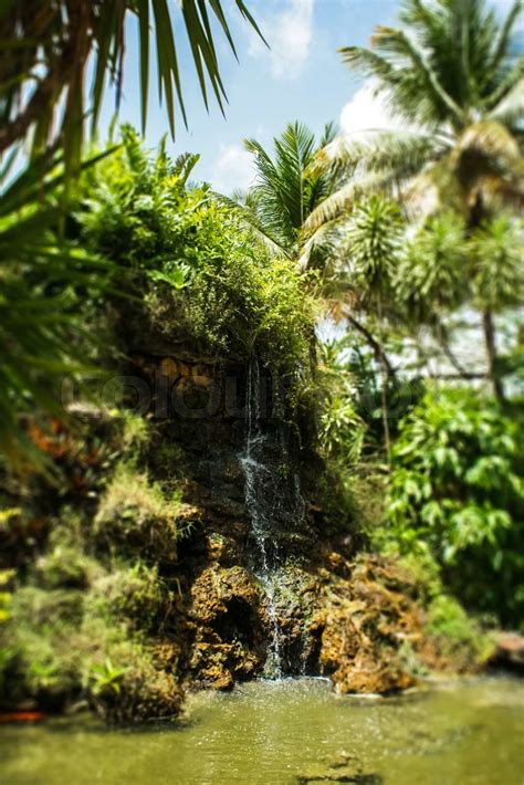 Tropical Waterfall With Palm Trees Stock Image Colourbox