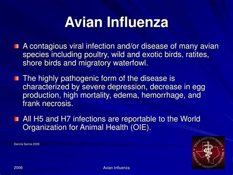 Ppt Avian Influenza Symptoms In Birds Powerpoint Presentation Free