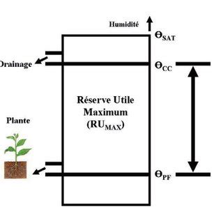 Pdf Les Bases De L Irrigation Calcul Des Besoins En Eau