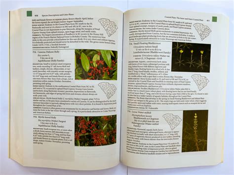 NameThatPlant Net A Guide To The Wildflowers Of SC 2nd Edition