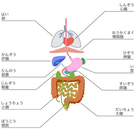 朝起きたら身体が痛いのはなぜ？ 原因別に対策法を解説 藤沢の整体「ふじさわ整体院」医師も推薦の施術