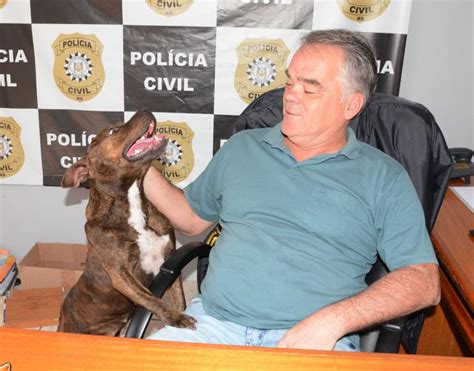 Delegado adota Pitbull que guarnecia depósito de drogas no interior de