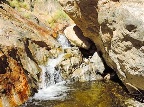 Hike To Borrego Palm Canyons Third Grove San Diego Reader