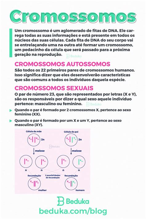 Cromossomos Autossomos E Sexuais - Resumos De Biologia O Ncleo E Os Cromossomos Cromossomos (artigo)