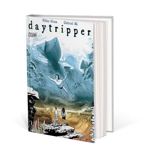 Summer reading: Daytripper - UC Berkeley Library Update