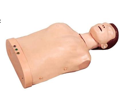 DT Skin Half Body Female CPR Training Model For Medical At Rs 105000