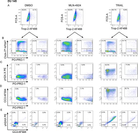 Multiparameter Cytometric Analysis Of Complex Cellular Response