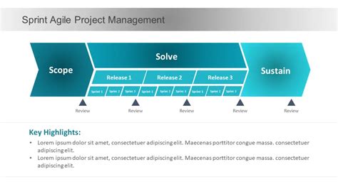 The 7 Top Roadmaps Used By Project Managers Plus Roadmap Templates