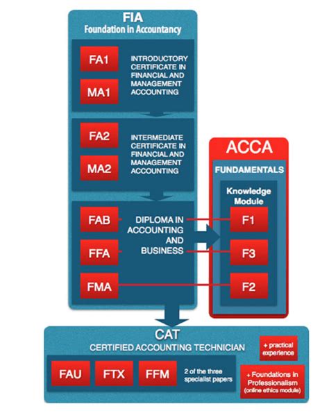 Fia Foundation In Accountancy White Collar Accountant