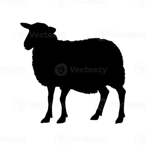 Sheep Silhouette Isolated Png