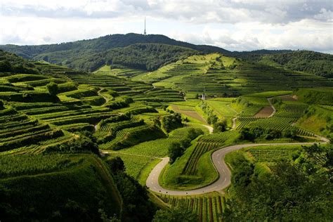 Badische Weinstraße Weinerlebnis zwischen Schwarzwald und Rhein