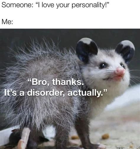 The Best Possum Memes Memedroid