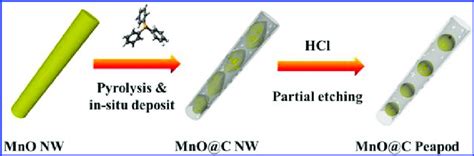 Schematic Illustration Of The Synthesis Process Of Coreshell MnO C NWs