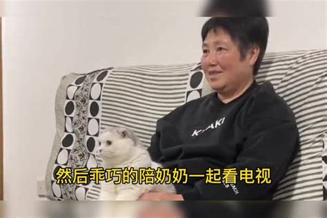 我怀疑我的猫是人变的，找奶奶看电视会打招呼，睡前还会说晚安 奶奶 电视