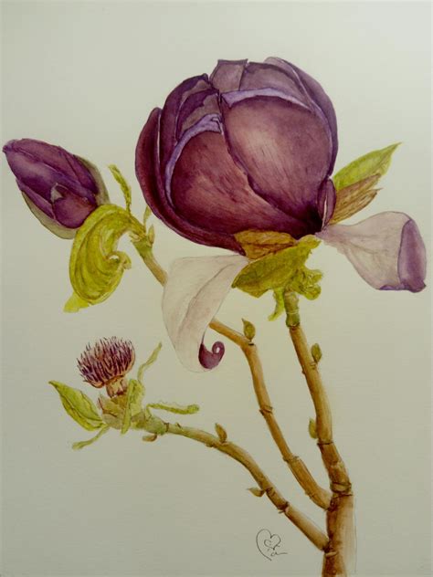 Botanical Art