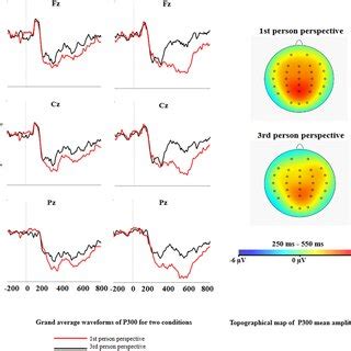 Grand Average Waveforms And Topographical Map Of P Mean Amplitude