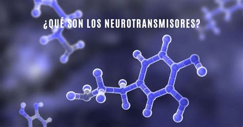 Qu Son Los Neurotransmisores