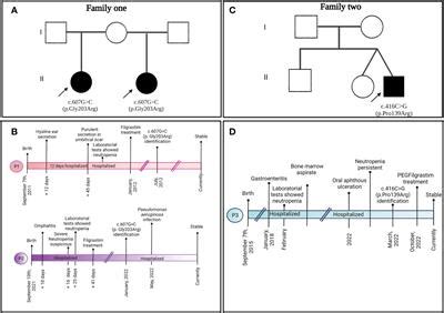 Frontiers Case Report Characterization Of Known C 607G C And Novel